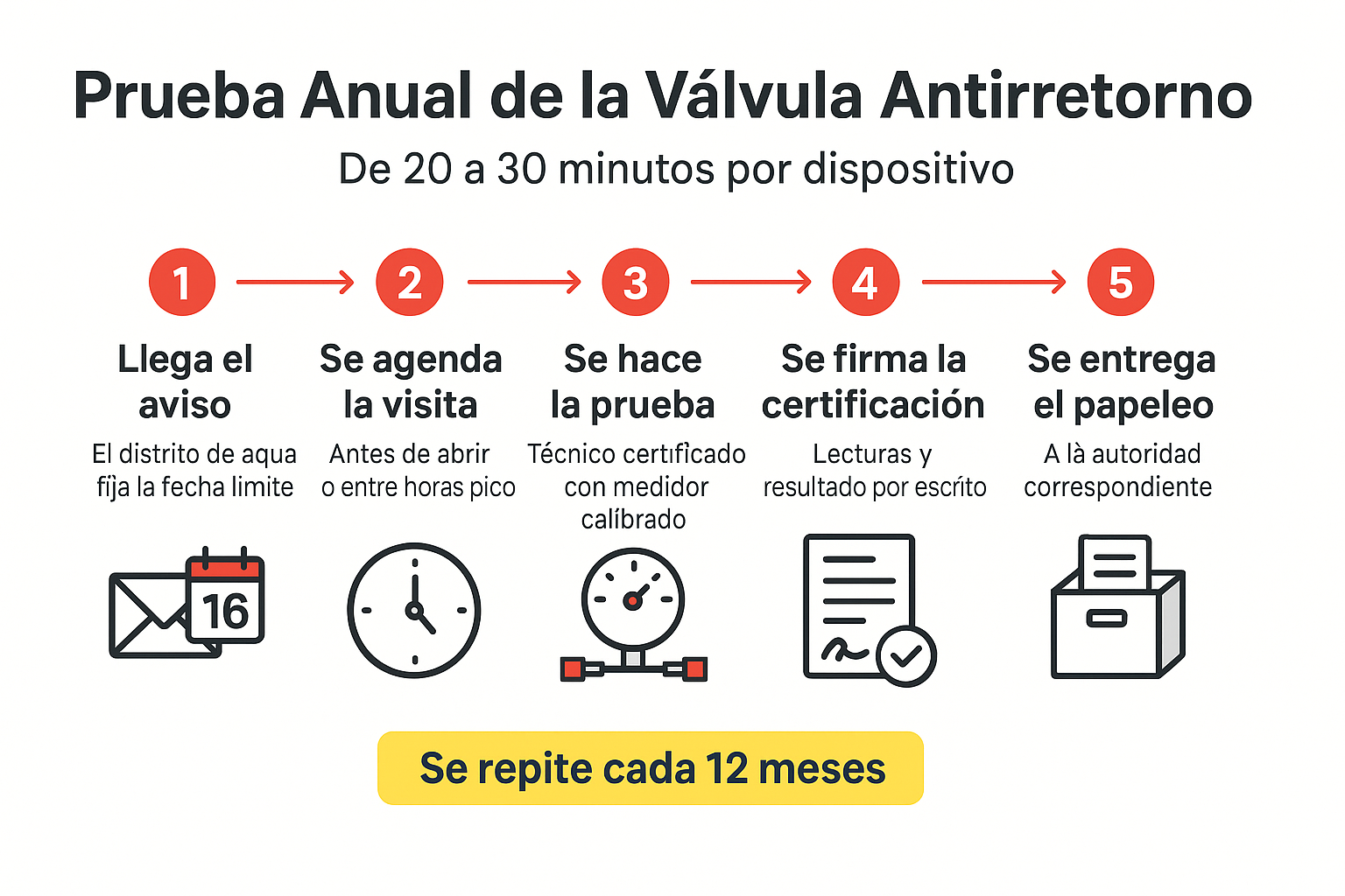 Infografía con los cinco pasos del ciclo anual de prueba y certificación de una válvula antirretorno